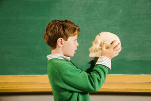 b1e13c9d-5b68-3053-8814-a7de07050a10