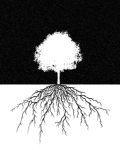 deep-roots