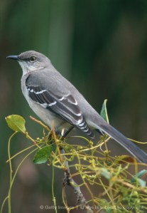 01a213bc-0bec-3cfd-9ead-16c1560f9a41