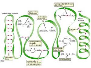 Plant physiology: brilliant