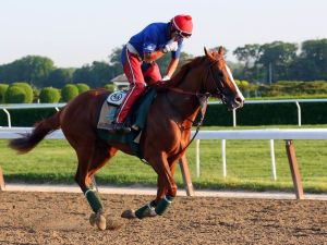 1401805517004-USP-Horse-Racing-Belmont-Stakes-workouts-004