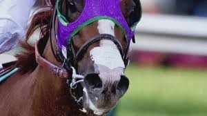 Click on picture to sign up.