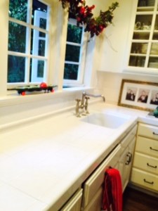 Marti's now clean counter.