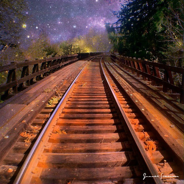 Photo: Gunnar Simonsen