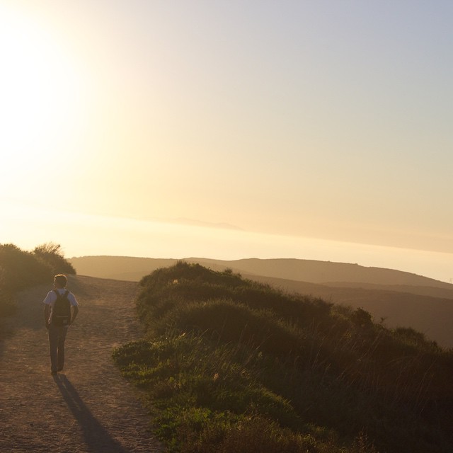 10995064_1568720890079167_1362137769_n