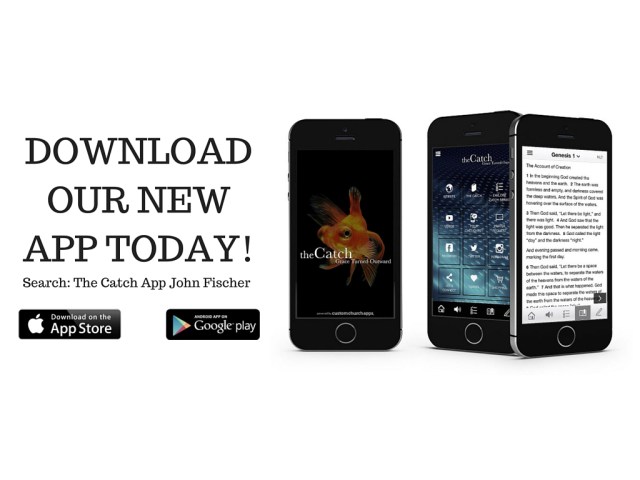 Untitled design (11)