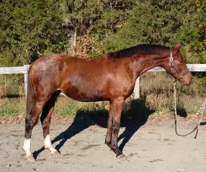 IMG_20151104_150856_edit