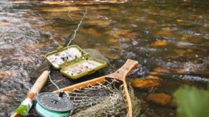 stock-footage-fly-fishing-in-mountain-stream