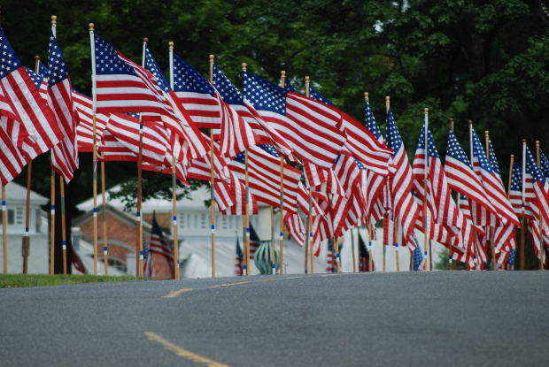 American-flags-lots-of-them