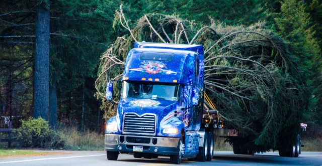 Mack-Pinnacle-hauling-Capitol-Christmas-tree