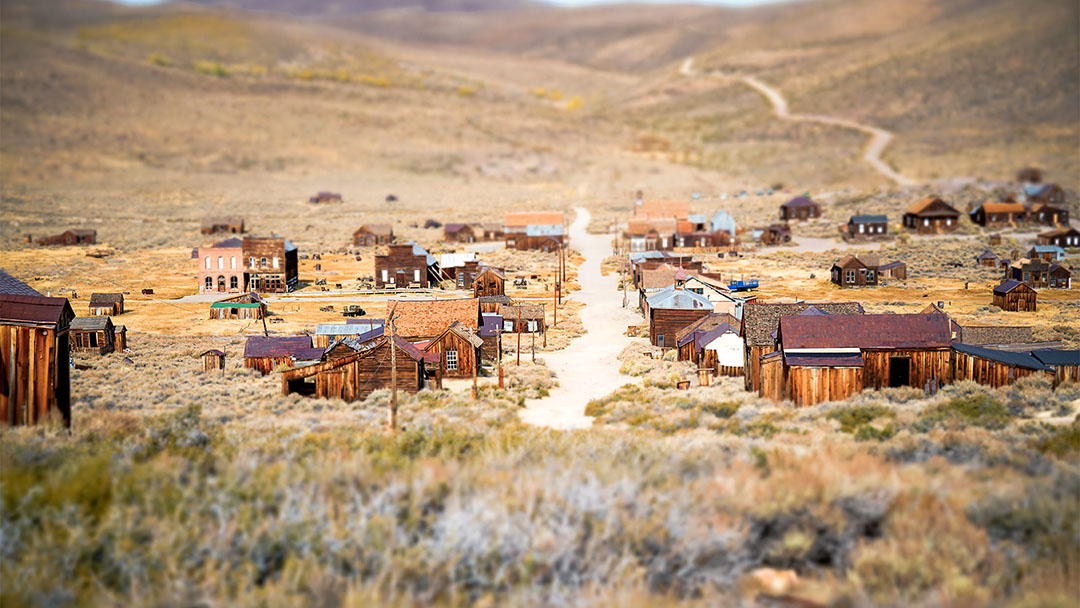 Bodie SHP