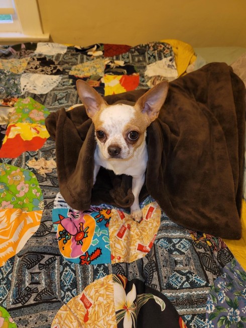 4d7b011fe2c9e34194693d358c6e980b