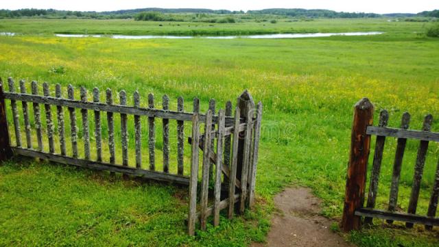open-gate-wooden-fence-green-meadow