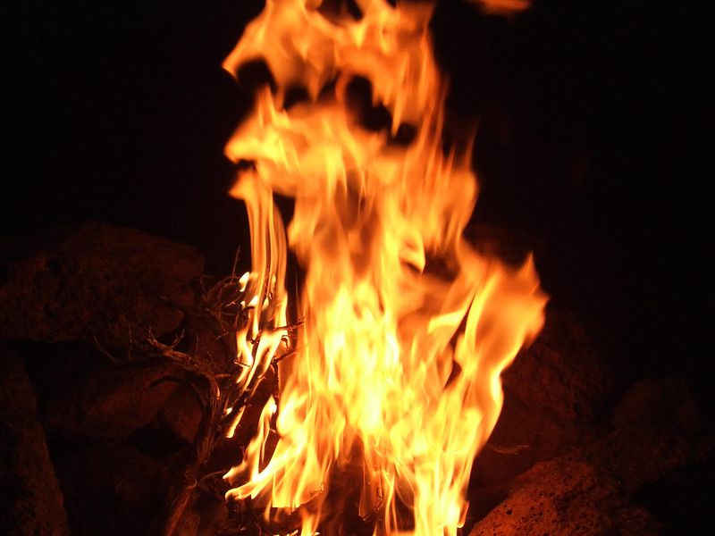 afc4a98c23618ea01620b901c16fbb3b632c22b0