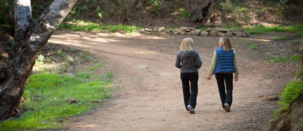 phpThumb_generated_thumbnail