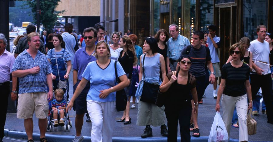 Embrace the Journey: