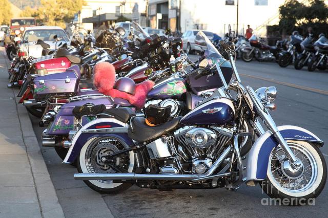 harley-davidson-motorcycle-row--5d18416-wingsdomain-art-and-photography