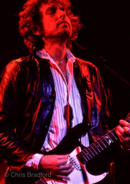 new-Warfield-1979-8-567x800