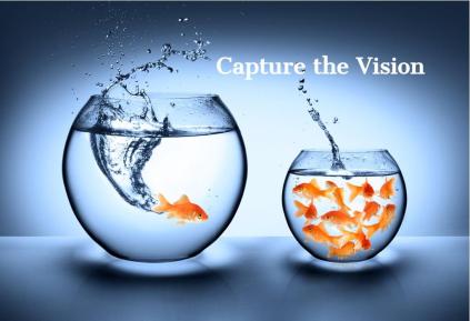 Capture the Vision