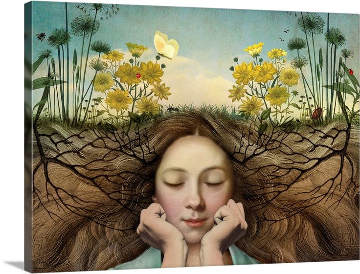 2c274eeda8e317228a184945b96df3cb